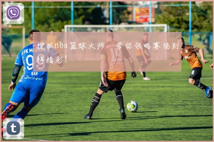 搜狐nba篮球大师,带你领略赛场别样精彩!