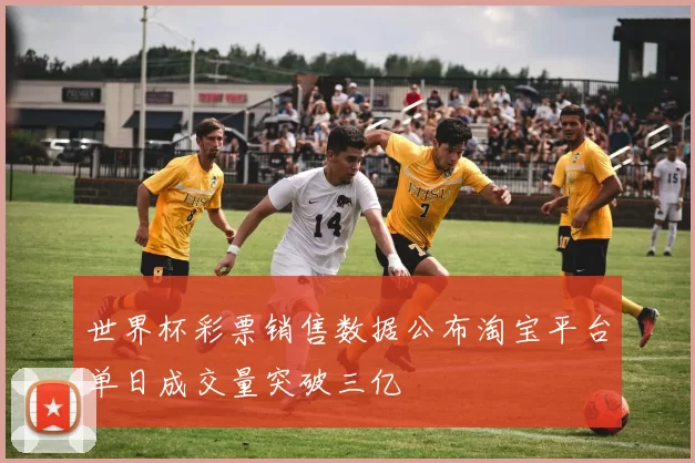 世界杯彩票销售数据公布淘宝平台单日成交量突破三亿