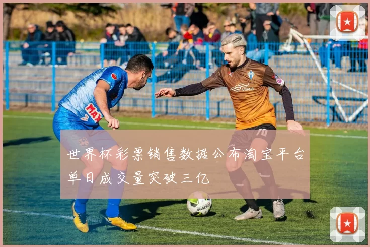 世界杯彩票销售数据公布淘宝平台单日成交量突破三亿