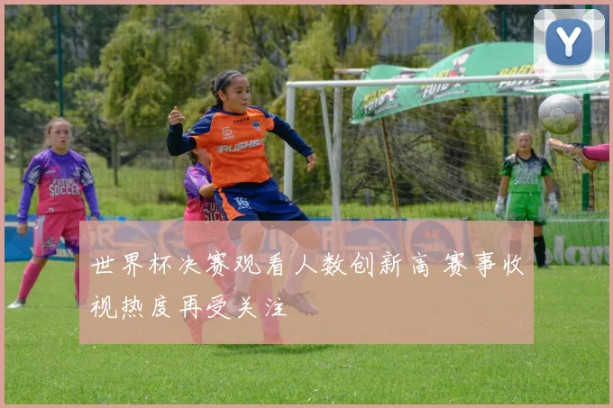 世界杯决赛观看人数创新高 赛事收视热度再受关注